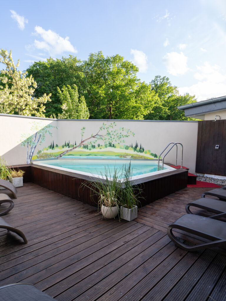 Bild Wellnessbereich draußen mit Tauchbecken